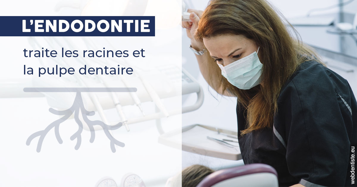 https://dr-benichou-laurence.chirurgiens-dentistes.fr/L'endodontie 1