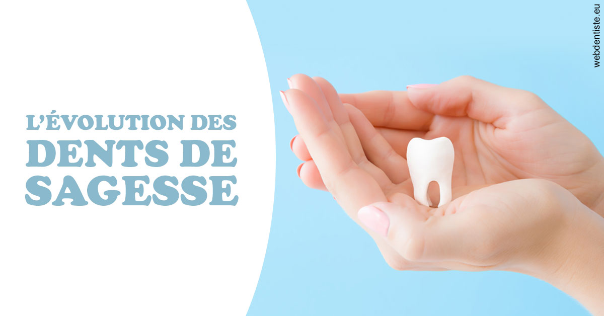 https://dr-benichou-laurence.chirurgiens-dentistes.fr/Evolution dents de sagesse 1