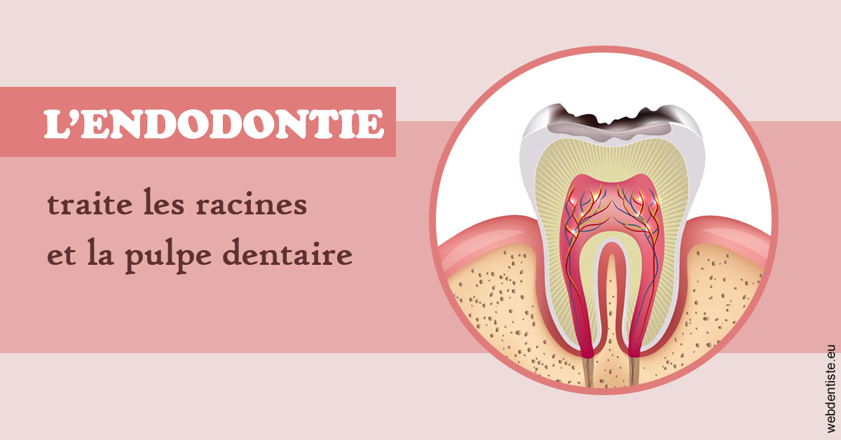 https://dr-benichou-laurence.chirurgiens-dentistes.fr/L'endodontie 2