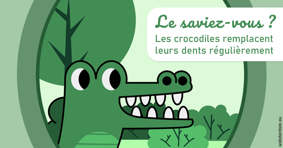 https://dr-benichou-laurence.chirurgiens-dentistes.fr/Crocodiles 2